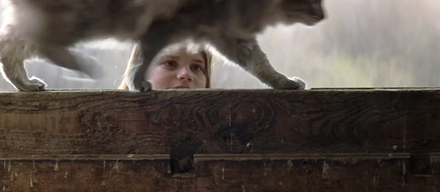 An Unfinished Life - Griff Becca Gardner watching cat walk along barn door