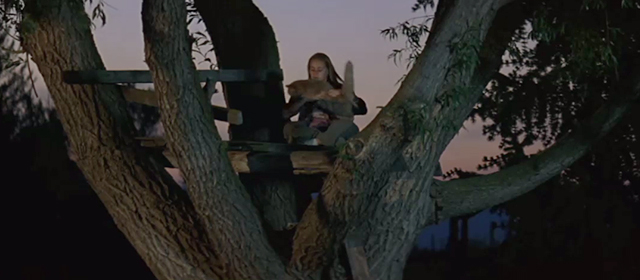 An Unfinished Life - Griff Becca Gardner in tree with long haired ginger cat Sarah