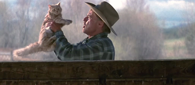 An Unfinished Life - Einar Robert Redford picking up ginger tabby cat Mitchell