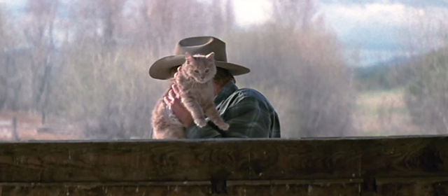 An Unfinished Life - Einar Robert Redford picking up ginger tabby cat Mitchell