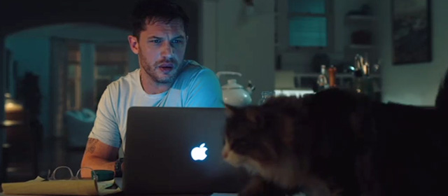 Venom - long haired calico cat Mr. Belvedere Ziva walking in front of Eddie Tom Hardy