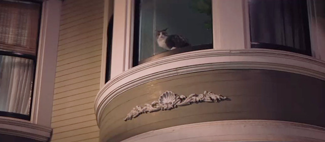 Venom - long haired calico cat Mr. Belvedere Ziva in second story window