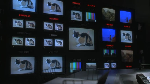 Wag the Dog - picture of calico cat on numerous screens in editing bay