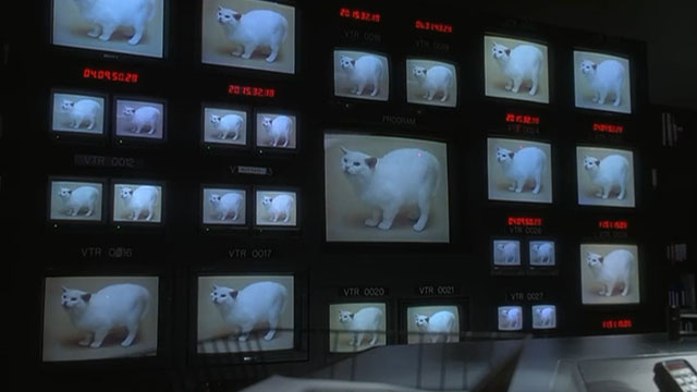 Wag the Dog - picture of white cat on numerous screens in editing bay