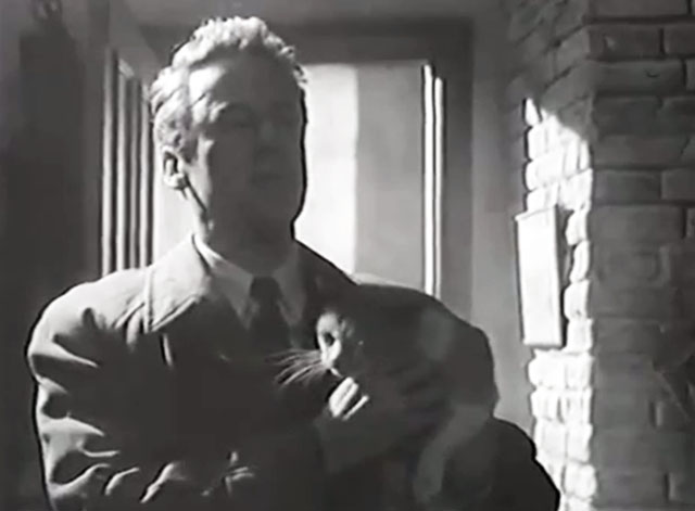 Web of Evidence - Paul Mathry Van Johnson holding tabby and white cat Tomkins in dark