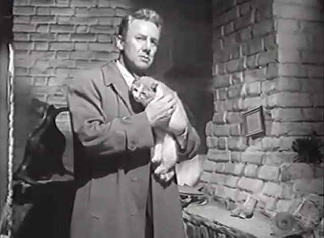 Web of Evidence - Paul Mathry Van Johnson holding tabby and white cat Tomkins