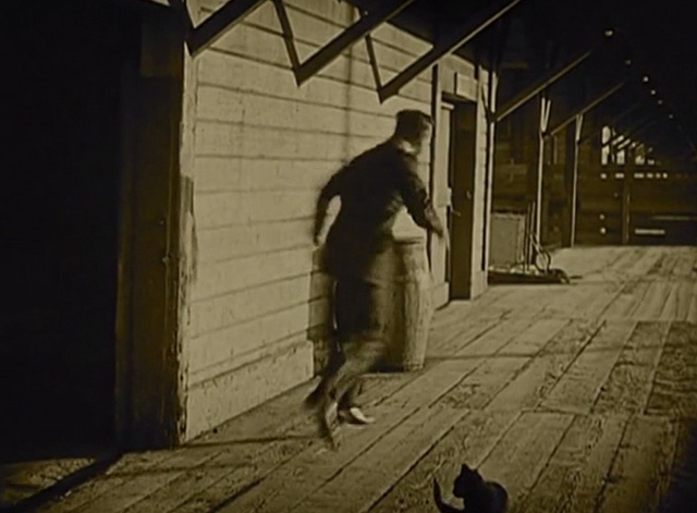 When the Clouds Roll By - Daniel Douglas Fairbanks running past black cat on pier