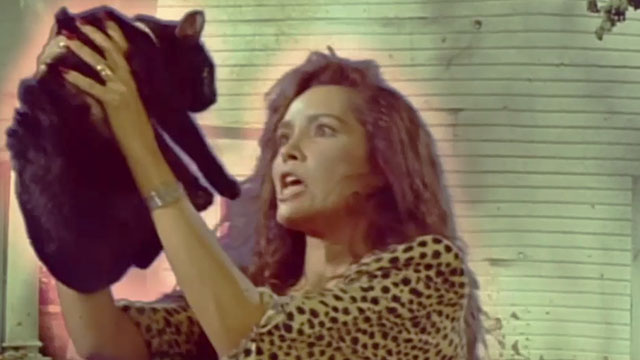 Wicked Stepmother - Priscilla Barbara Carrera yelling at black cat Pericles