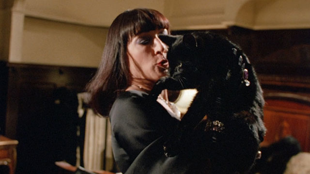 The Witches - black cat Liebchen caught by Eva Ernst Anjelica Huston