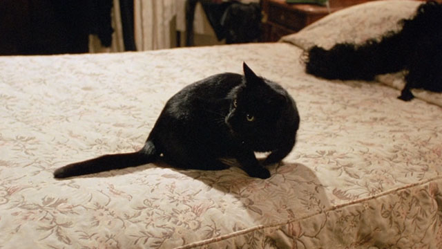 The Witches - black cat Liebchen on bed