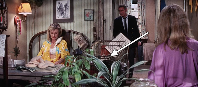 WUSA - Philomene Cloris Leachman on bed with Rheinhardt Paul Newman and gray and white tabby cat in shopping cart