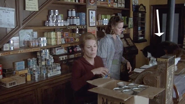 Yanks - tuxedo cat seen on counter of shop with Jean Lisa Eichhorn and Jean's mother Rachel Roberts