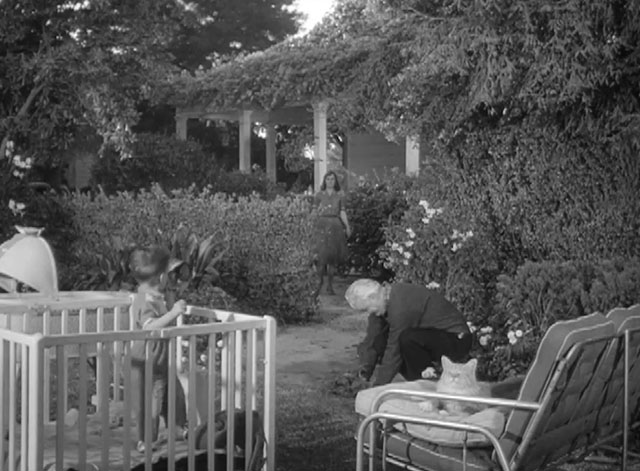 Alfred Hitchcock Presents - Backward, Turn Backward - longhair ginger tabby cat on chair in yard with Canby Tom Tully and Sue Phyllis Love