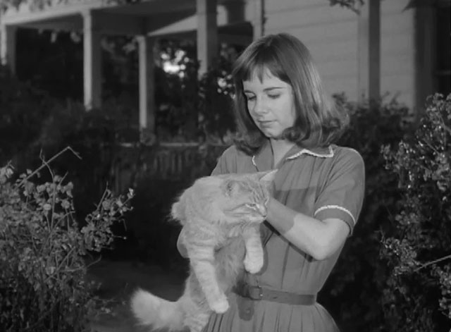 Alfred Hitchcock Presents - Backward, Turn Backward - longhair ginger tabby cat held by Sue Phyllis Love