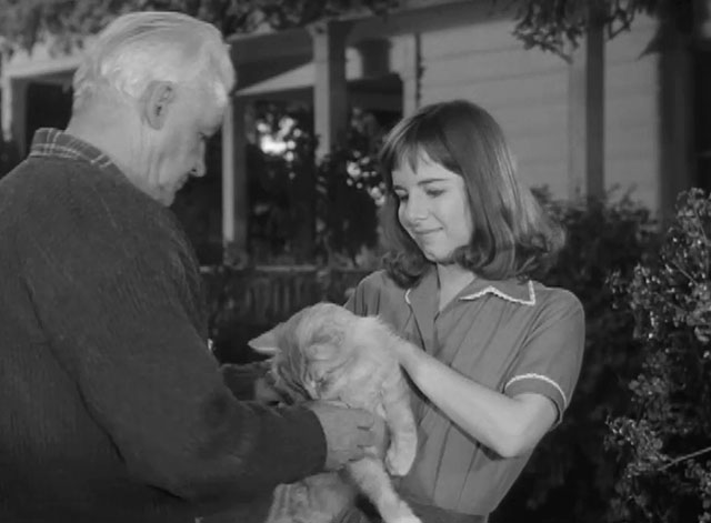 Alfred Hitchcock Presents - Backward, Turn Backward - longhair ginger tabby cat on chair petted by Canby Tom Tully and Sue Phyllis Love