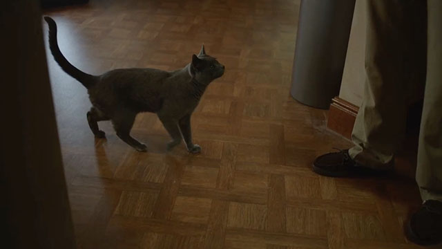 Baby Reindeer - Episode 4 - blue shorthair cat Fergus entering room