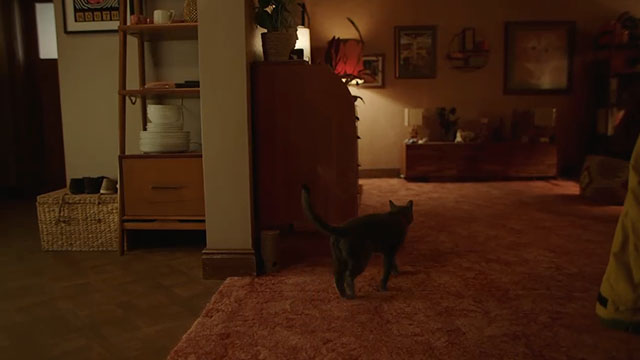 Baby Reindeer - Episode 7 - blue shorthair cat Fergus walking through room