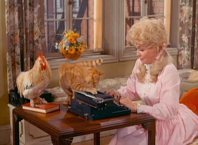 The Beverly Hillbillies - Elly the Secretary - ginger tabby cat Rusty Orangey with Elly Mae Donna Douglas on typewriter with Earl the rooster