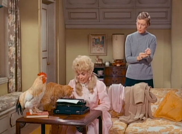 The Beverly Hillbillies - Elly the Secretary - ginger tabby cat Rusty Orangey with Elly Mae Donna Douglas on typewriter with Earl the rooster and Miss Hathaway Nancy Kulp