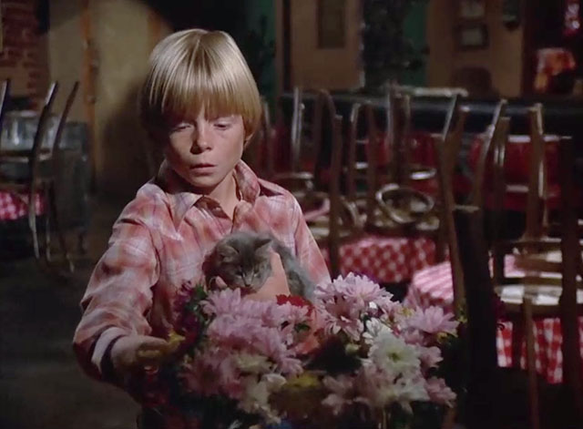 Charlie's Angels - To Kill an Angel - Skip Dennis Dimster holding grey tabby kitten while looking at flowers