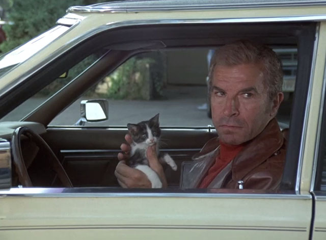 Charlie's Angels - Angel Trap - Jericho Fernando Lamas holding gray and white tuxedo kitten in car