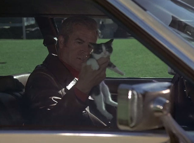 Charlie's Angels - Angel Trap - Jericho Fernando Lamas holding gray and white tuxedo kitten in car