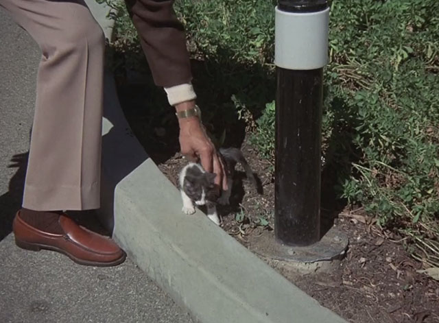 Charlie's Angels - Angel Trap - Jericho Fernando Lamas setting gray and white tuxedo kitten down beside curb