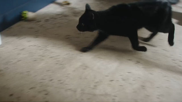 The Cleaner - The Writer - black cat running away