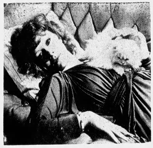 Great Performances - The Collection - newspaper photo of Stella Helen Mirren lying on couch with longhaired white cat