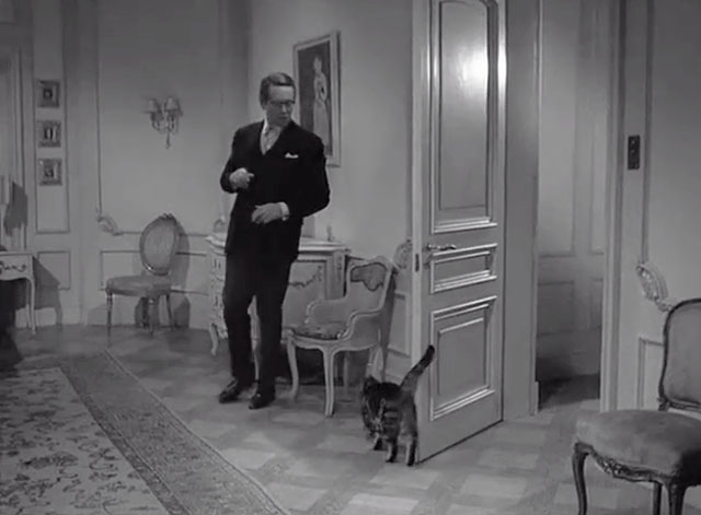 Danger Man - The Hunting Party - Drake Patrick McGoohan looking at tabby cat