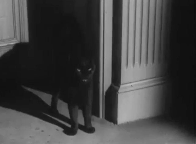 Daniel Boone - First Stone - black cat in front of door