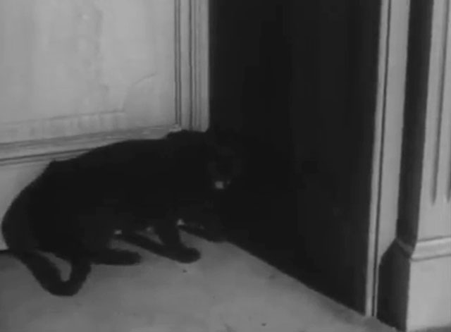 Daniel Boone - First Stone - black cat in front of door