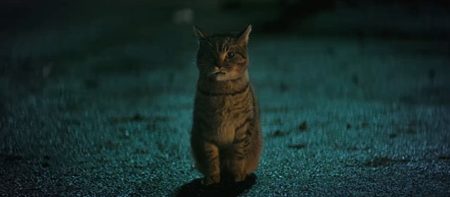 Dead Boy Detectives - The Case of Crystal Palace - brown tabby cat