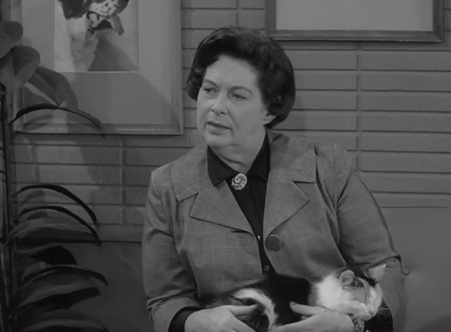 The Dick van Dyke Show - Never Name a Duck - Miss Glasset Geraldine Wall with longhaired calico cat Lilybeth