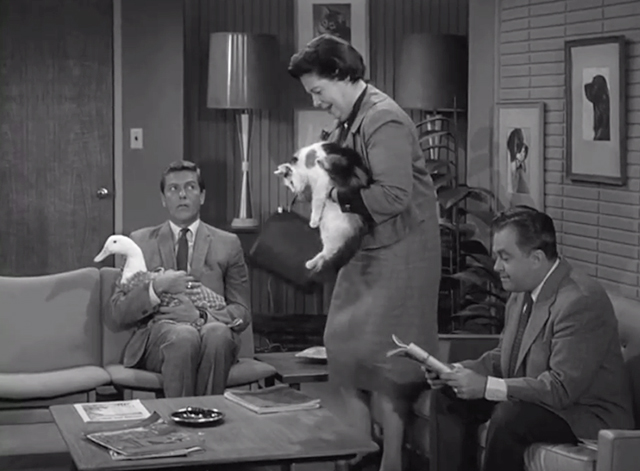 The Dick van Dyke Show - Never Name a Duck - Miss Glasset Geraldine Wall carrying longhaired calico cat Lilybeth past Rob Dick van Dyke and duck