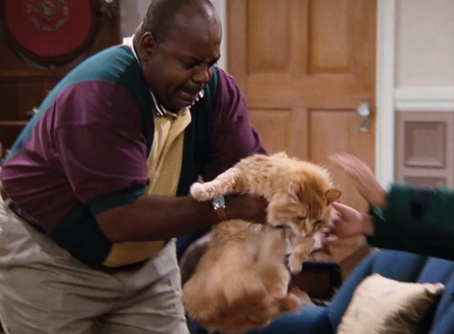 Family Matters - Little Big Guy - Carl Reginald VelJohnson lifting longhair ginger tabby cat Mr. Buttons