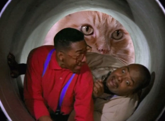 Family Matters - Little Big Guy - Carl Reginald VelJohnson and Urkel Jaleel White inside potato chip can with giant longhair ginger tabby cat Mr. Buttons peering in