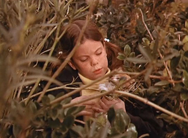 The F.B.I. -Deadfall - Floria Erin Moran in bushes holding ginger and white tabby kitten Cookie