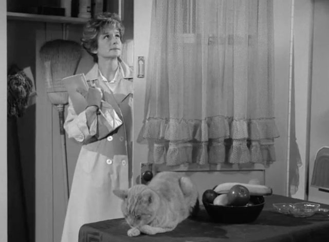 The Fugitive - The End is But the Beginning - Aimee Barbara Barrie with ginger tabby cat Rusty Orangey