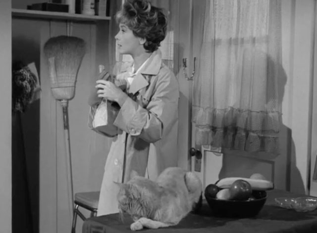 The Fugitive - The End is But the Beginning - Aimee Barbara Barrie with ginger tabby cat Rusty Orangey