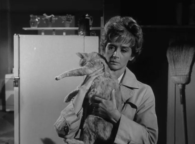 The Fugitive - The End is But the Beginning - Aimee Barbara Barrie holding ginger tabby cat Rusty Orangey