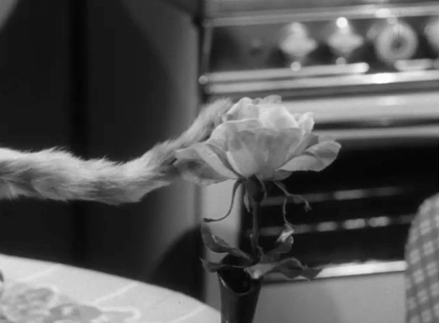 The Fugitive - The End is But the Beginning - fake ginger tabby cat tail about to knock over vase