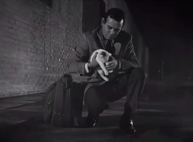 The Fugitive - Fear of a Desert City - white and tabby kitten being picked up by Richard Kimble David Janssen