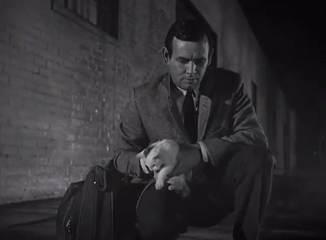 The Fugitive - Fear of a Desert City - white and tabby kitten being set down by Richard Kimble David Janssen