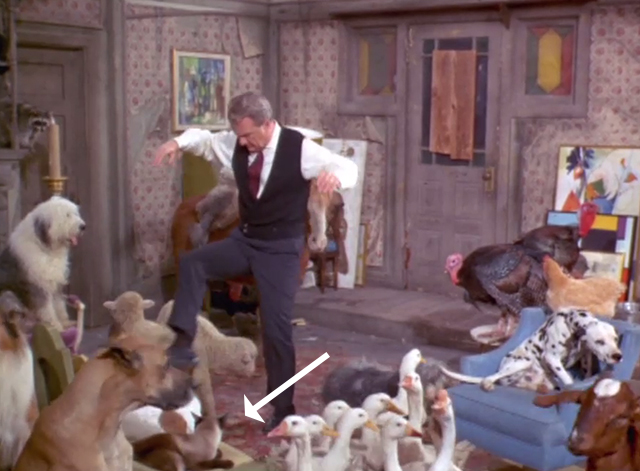 Green Acres - It's Human to be Humane - Siamese cat on couch among many animals in living room with Oliver Eddie Albert