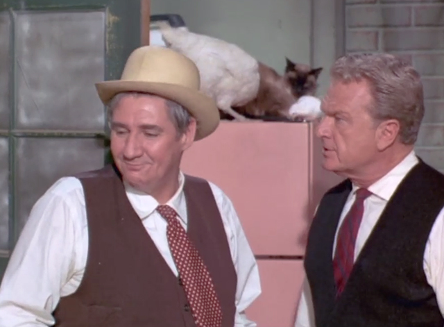 Green Acres - It's Human to be Humane - Siamese cat and chickens on refrigerator behind Oliver Eddie Albert and Mr. Haney Pat Buttram