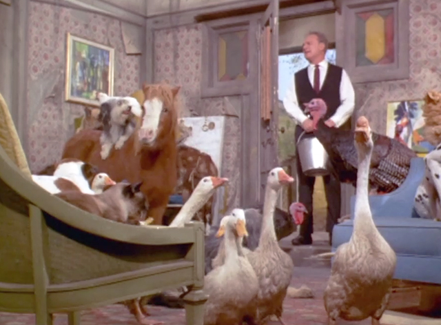 Green Acres - It's Human to be Humane - Siamese cat in foreground with many animals and Oliver Eddie Albert