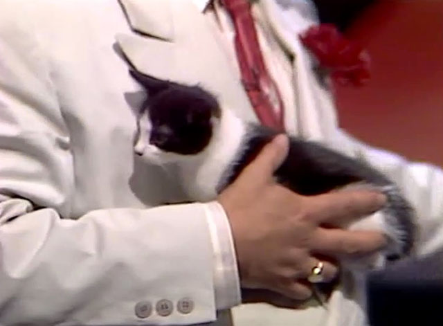 Hale & Pace - Season One, Episode One - Gareth Hale and Norman Pace on stage with tuxedo kitten