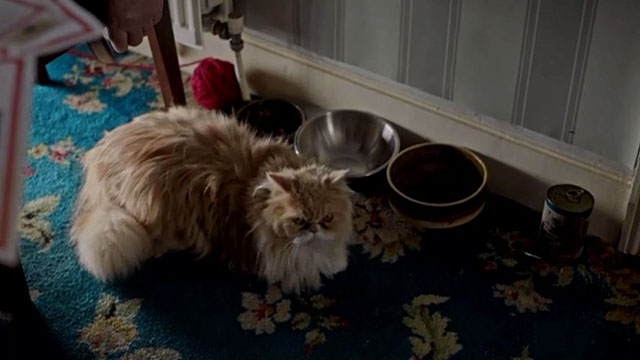 Harry Wild Investigates - An Unhappy Happy is a Dangerous Thing - longhair ginger and white cat Mosky sitting on floor