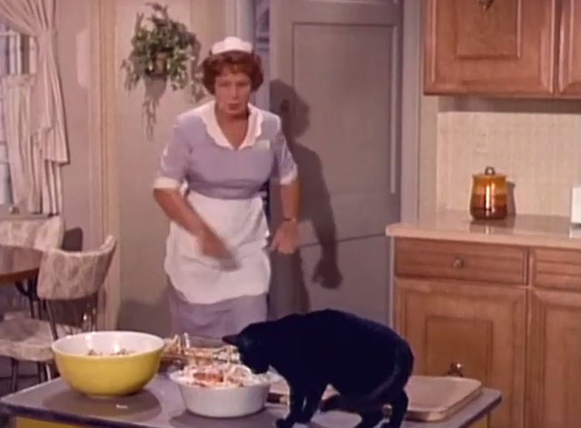 Hazel - Kindly Advise - Hazel Shirley Booth surprised by black cat eating food on counter